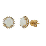 Phoenix 10K Yellow Gold Round-Cut African Opal Earring