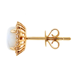 Phoenix 10K Yellow Gold Round-Cut African Opal Earring