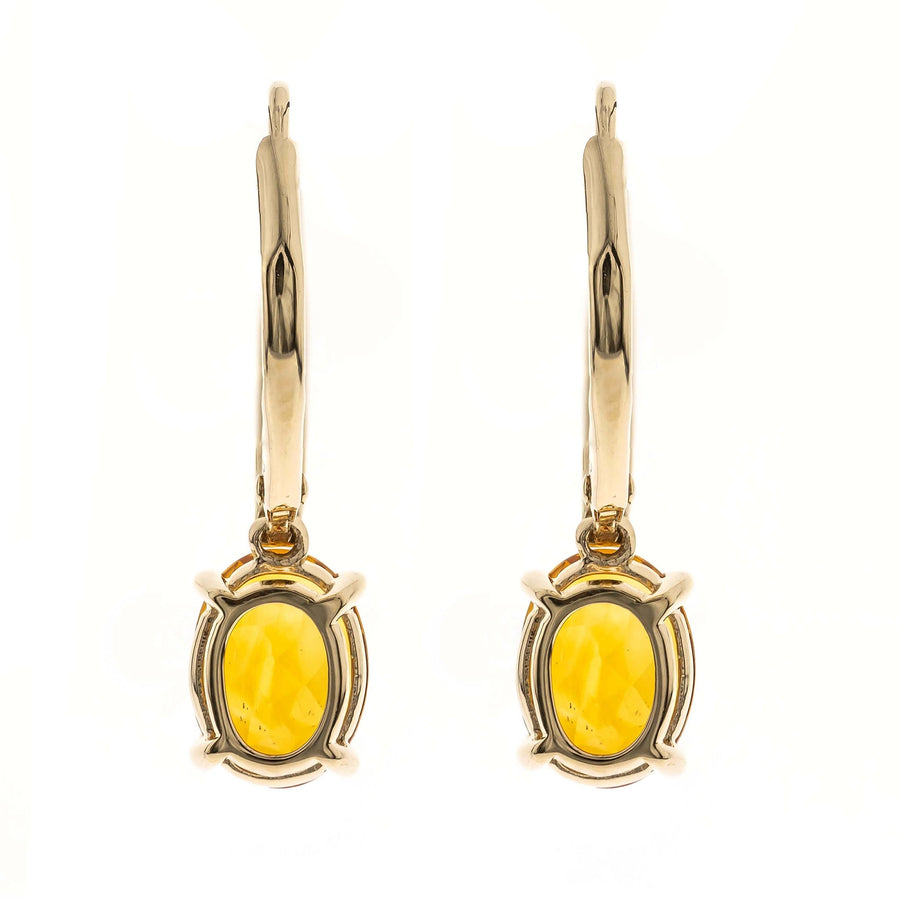 Haisley 14K Yellow Gold Oval-Cut Brazilian Citrine Earring